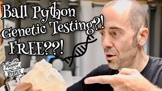 Ball Python GENETIC TESTING?!?!  Free!?!?   The Ball Python Genetics Project
