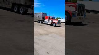 Peterbilt Bull Hauler!!  #peterbilt #kenworth #bigrig #largecar #peterbilt389 #peterbilt379