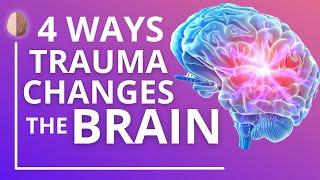 How Trauma and PTSD Change the Brain