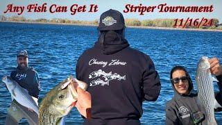 O'Neill Forebay Striper Fishing Any Fish Can Get It Striper Fishing Tournament Los Baños CA