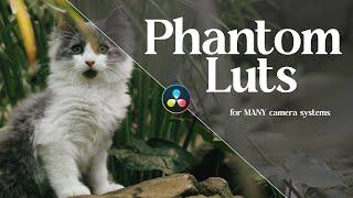 The BEST Luts I’ve Ever Used | Phantom Luts Review & Sample Footage!