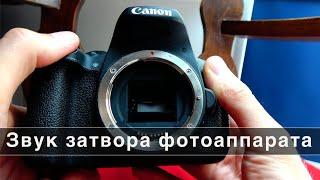 Звук затвора фотоаппарата для монтажа видео | Zvukitop