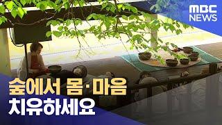 숲에서 몸·마음 치유하세요 (2023.06.04/뉴스투데이/대전MBC)