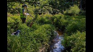 Tracking invasive plant species in the Chesapeake Bay watershed