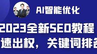 2023最新网站AI智能优化SEO教程，简单快速出权重，AI自动写文章+AI绘画配图