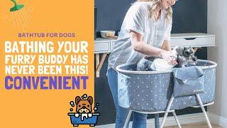 Bathtub for Dogs | Bathing your furry buddy has never been this CONVENIENT!