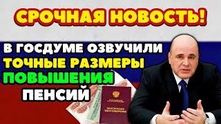 СРОЧНЫЕ НОВОСТИ! Депутаты озвучили точные размеры повышения пенсий работающим пенсионерам!