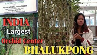 Explores India's largest Orchid research centre in Arunachal Pradesh||Bhalukpong|North East India