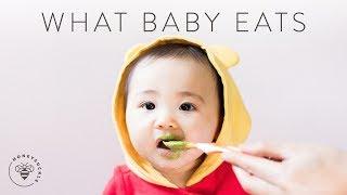 What BABY EATS in a Day (Homemade Baby Food)  | HONEYSUCKLE