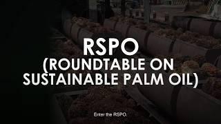 Sabah commits the entire state to sustainable palm oil practices by 2025