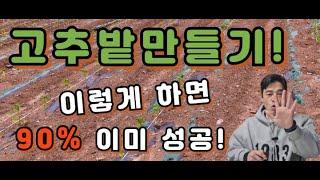 고추농사 성패를 좌우하는 밭만들기! 꼭 보세요 도움이 되실 겁니다~ 석회비료/퇴비사용법. 퇴비를 대체할 수 있는 유박 사용 방법까지 총 정리했습니다.