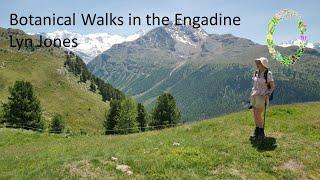 Botanical Walks in the Engadine