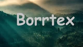 Borrtex: Best Collection. Ambient Mix