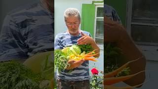 Город или деревня? #домвдеревне #хутор #жизньвдеревне