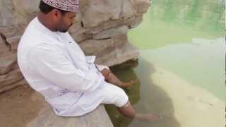 Get Friendly with Fish (Wadi Bani Khalid, Oman)