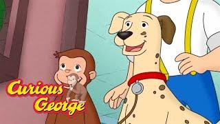 George and the Disappearing Dog!   Full Episode  Curious George  Kids Cartoon  Kids Movies