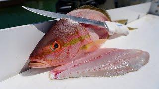 BEST Way to Fillet- Yellowtail Snapper- Fish Cleaning!