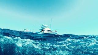 Tuna Masters Teos 2021 Teaser