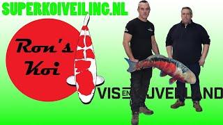 BREAKING: Vis en Vijverland en Ron's Koi lanceren nieuw koiveilingplatform!