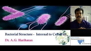 Structure of Bacteria - Internal to Cell Wall