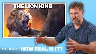 Lion Expert Rates 9 Big-Cat Attacks In Movies | How Real Is It? | Insider