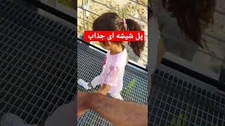 تست پل شیشه ای هیجانی | دوستان در مورد تغییرات چنل با هم صحبت میکنیم بعداً