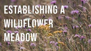 Turn your lawn into a meadow (part 1 of 4)