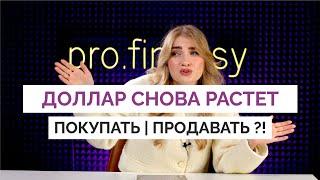 Доллар снова растет! Покупать или продавать?