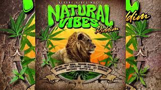 Natural Vibes Riddim Mix (Feb 2024) Jah Cure,Busy Signal,Ginjah,Lutan Fyah,Pressure,Turbulence....