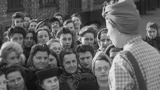 Women after the War (1946)