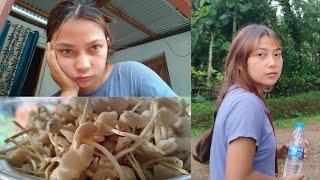 Mushroom // wachioba dakesa pattia Dambong // Random Vlog
