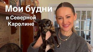 ВЛОГ: ПРОВЕДИТЕ СО МНОЙ БУДНИ В СЕВЕРНОЙ КАРОЛИНЕ И ПОЗНАКОМЬТЕСЬ С НАШЫМ НОВЫМ ЧЛЕНОМ СЕМЬИ