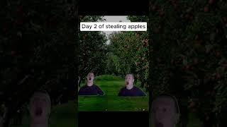 Stealing apples #funny #mellstroy #memes