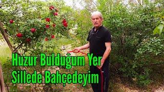 SİLLEDE BAHÇEDEYİM (Şu Silleden gece geçtim Görmedim Annem)