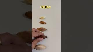 Pili Nuts evolution #pilinuts #pili #nuts #canariumovatum #nature