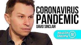 Harvard Researcher Tells You Everything You Need to Know About Coronavirus Pandemic | David Sinclair