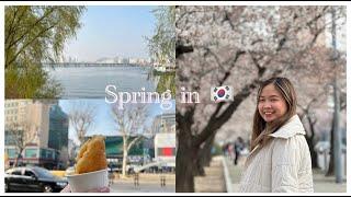  VLOG: Spring Trip 2023• Han River, Myeongdong shopping & Food trip 