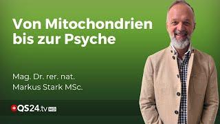 Gesundheit aus der Zelle: Neue Wege in der Behandlung psychischer Erkrankungen | Naturmedizin | QS24