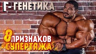 ГЕНЕТИКА РУЛЛИ ВИНКЛААРА / БИГ РАМИ