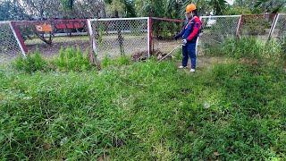 HORRIFYING Sidewalk Covered in WILD GRASS and TRASH, Revived SPECTACULARLY After CLEANUP!