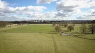 Richmond Park Flying Field, March 2017
