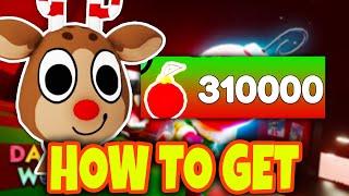 How To GET ORNAMENTS FAST (EASIEST METHOD) In DANDY'S WORLD! ROBLOX