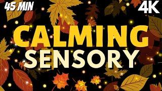 4k- Calming Sensory Music Doze Into Falling Leaves Soothing Visuals