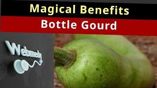 Bottle Gourd: A Magic Potion for Your Health? | Top 10 Health Benefits of Bottle Gourd!