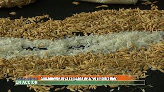 La Asociación de Plantadores de Arroz lanzó la campaña en Entre Ríos - Enrique García