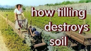 every time you till you destroy 30% of your soil organic matter