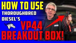 How To Diagnose VP44 Injection Pump | Thoroughbred Diesel Breakout Box #diesel #cummins #dodge #fyp