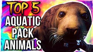 Top 5 AQUATIC PACK ANIMALS in Planet Zoo!!! || Aquatic Pack Animals Ranked