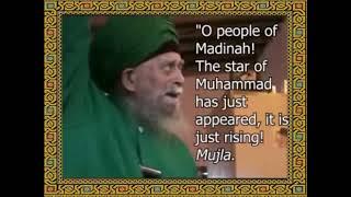 Mawlana Shaykh Nazim al-Haqqani: The Star of Ahmad (s) Has Appeared!