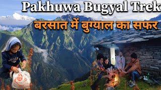 Pankhu Top Trek | बुग्याल की सुंदरता | Bageshwar | Uttarakhand | #bugyal #monsoon #rain